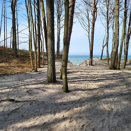 Baltic Barns Brisa בית נופש Wytowno