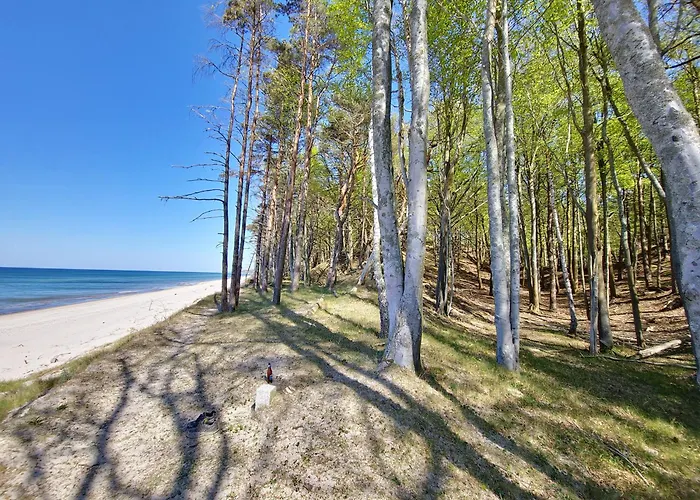 펜션 Baltic Barns Brisa Wytowno