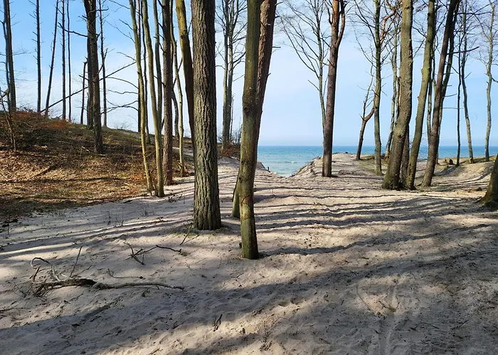 Baltic Barns Brisa 펜션 Wytowno